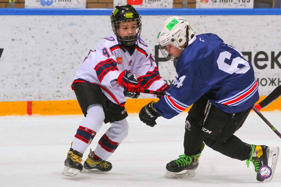 Федерация хоккея москвы 2015